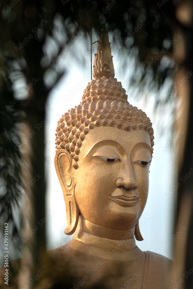The face of a golden Buddha statue at a temple in Thailand