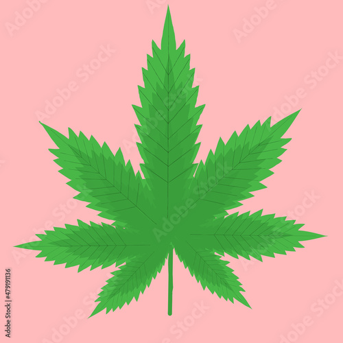 Green Marijuana leaf. Vector illustration
