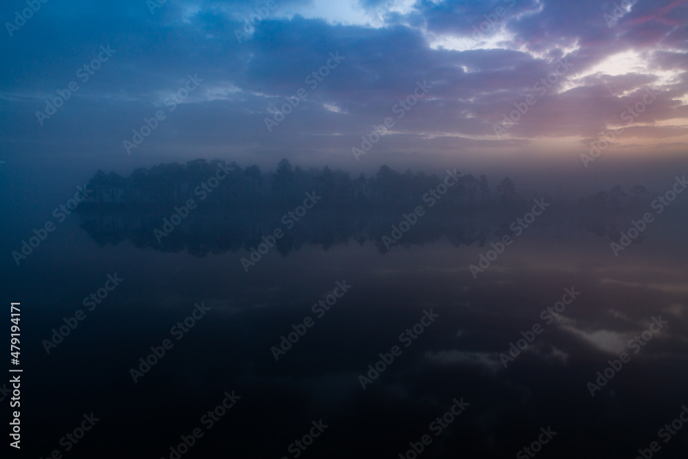 Fototapeta premium Foggy Morning in Kemeri National Park