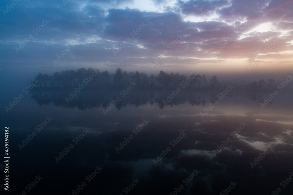 Foggy Morning in Kemeri National Park