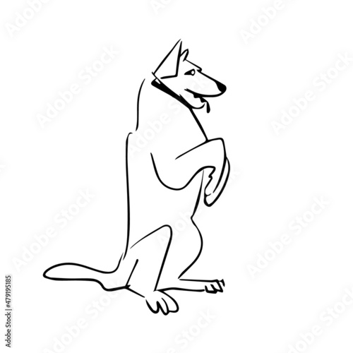 Smart dog sketch. Dog training. An obedient dog on a white background