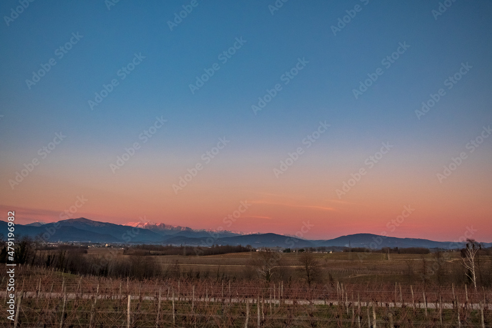 Winter sunset in the vineyards of Collio Friulano Winter sunset in the vineyards of Collio Friulano