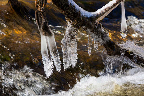 Icicles in the natural environment by the river © EriksZ