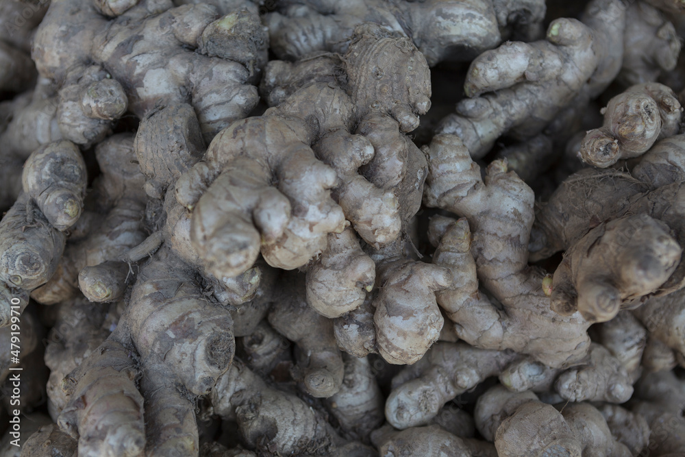 Fresh ginger on a market in Bhutan, Asia Fresh ginger on a market in Bhutan, Asia