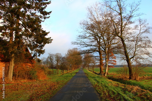 Wanderung auf den Nordpfaden (Kirchsteg-Moore-Bäche) (Hiking in northern Germany) | On the path