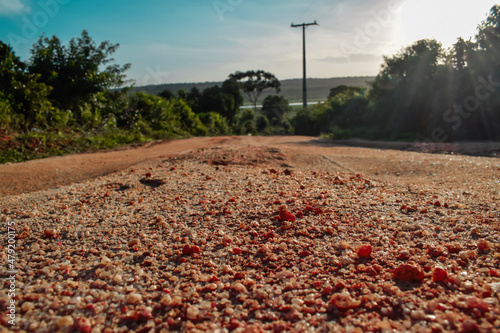 Estrada de terra com pedra vermelha
