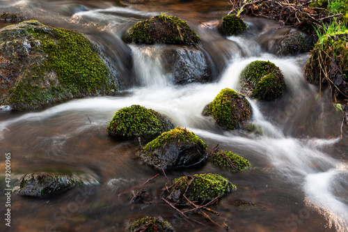 A small forest river with stones