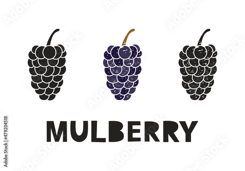 Mulberry, silhouette icons set with lettering. Imitation of stamp, print with scuffs. Simple black shape and color vector illustration. Hand drawn isolated elements on white background