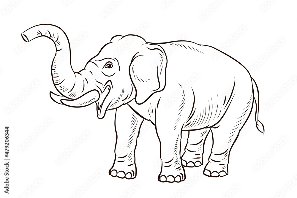 Obraz premium Animals. Black and white image of a large elephant, coloring book for children.
