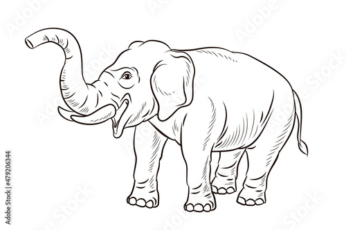 Animals. Black and white image of a large elephant  coloring book for children.