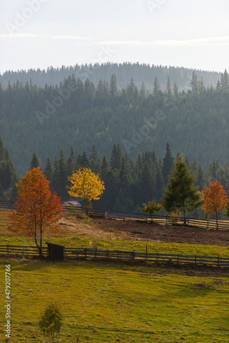 Autumn landscape in the Apuseni Mountains, Romania