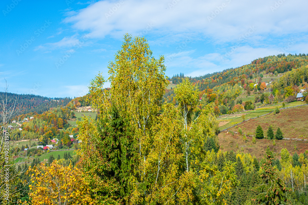 Autumn landscape in the Apuseni Mountains, Romania