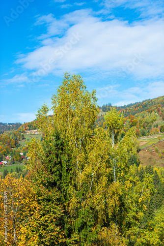 Fototapeta Naklejka Na Ścianę i Meble -  Autumn landscape in the Apuseni Mountains, Romania