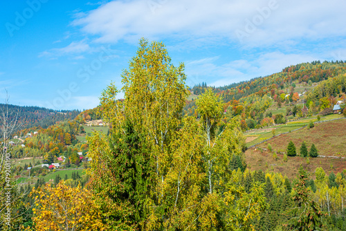 Autumn landscape in the Apuseni Mountains  Romania
