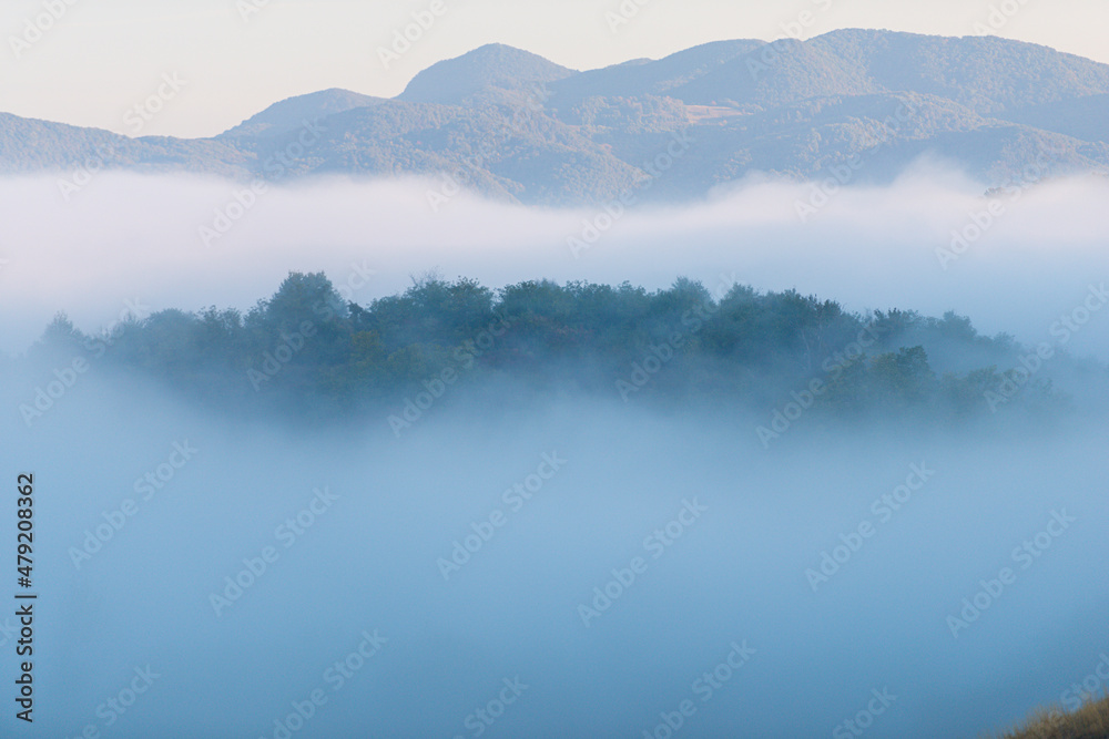 Obraz Jesienny poranek mgła krajobraz