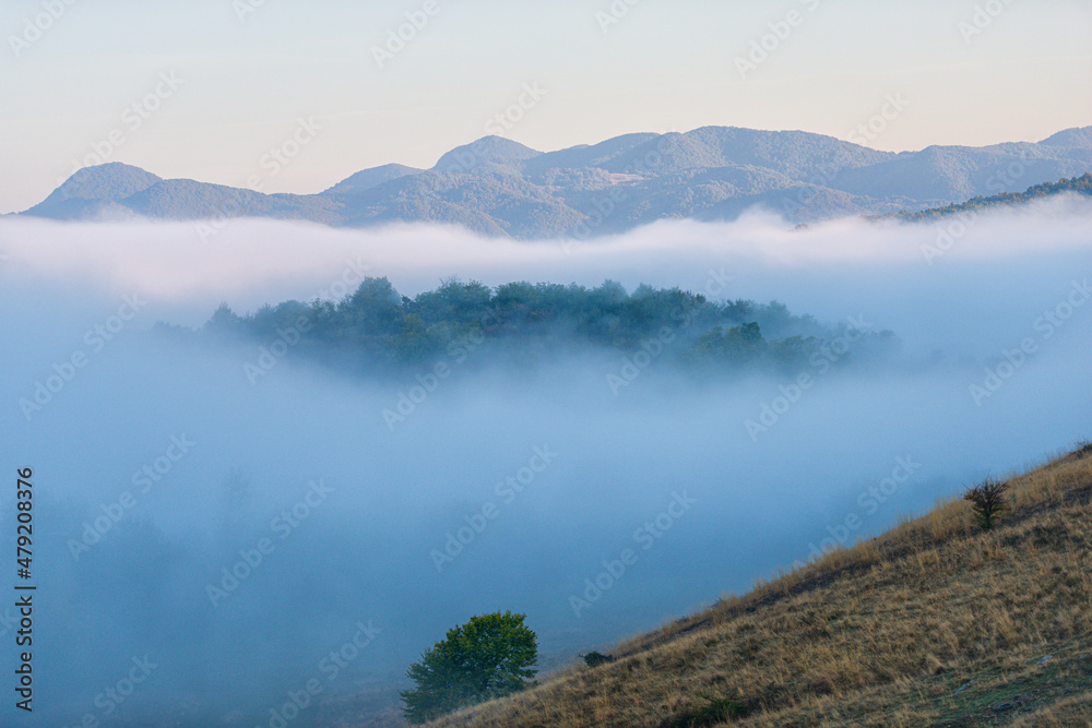 Obraz premium Autumn morning fog landscape