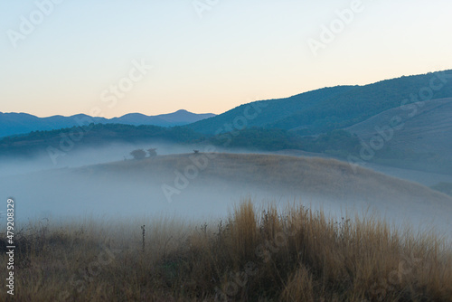 Autumn morning fog landscape