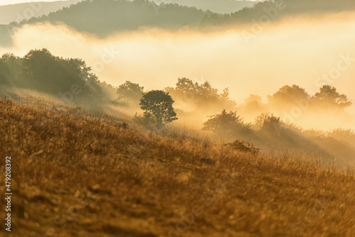 Fototapeta Naklejka Na Ścianę i Meble -  Autumn morning fog landscape