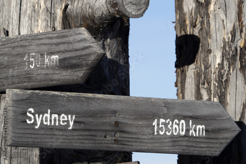 Sidney distance wood sign on dead tree © Andrea Izzotti