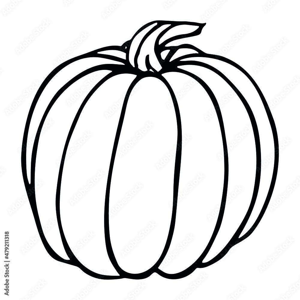 Vector hand drawn illustration of pumpkin. Isolated object on white background. Vegetable harvest clip art. Farm market product. Elements for autumn design, decoration. Vector hand drawn illustration of pumpkin. Isolated object on white background. Vegetable harvest clip art. Farm market product. Elements for autumn design, decoration.