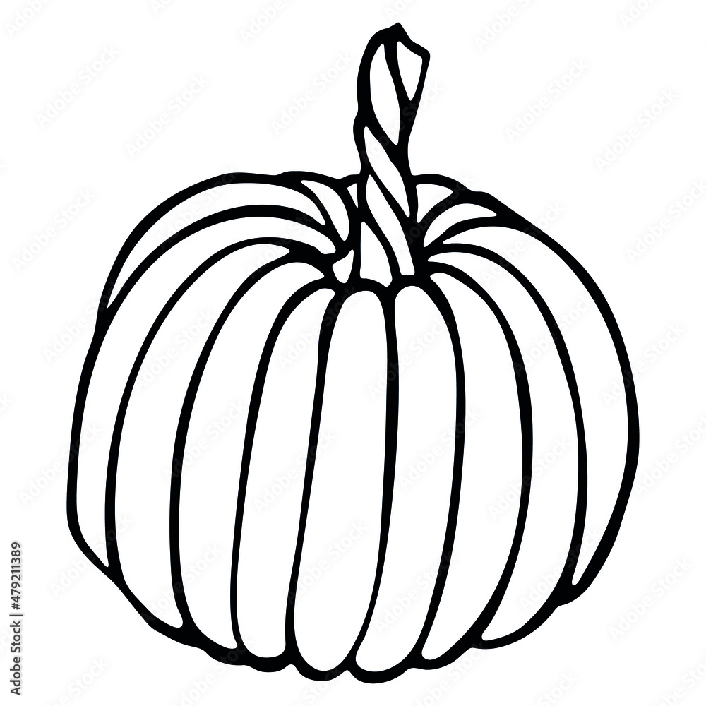 Vector hand drawn illustration of pumpkin. Isolated object on white background. Vegetable harvest clip art. Farm market product. Elements for autumn design, decoration. Vector hand drawn illustration of pumpkin. Isolated object on white background. Vegetable harvest clip art. Farm market product. Elements for autumn design, decoration.