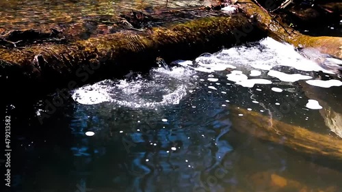 Wallpaper Mural A small forest river with stones Torontodigital.ca