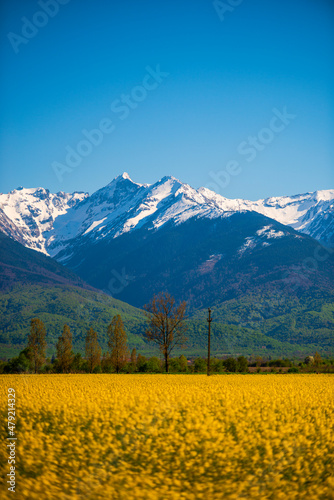 Fagaras mountrains landscape in the spring