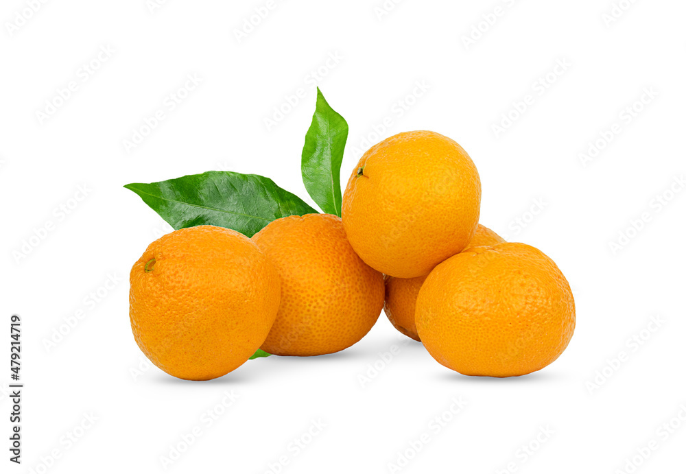 Tangerines isolated on a white background. Tangerines isolated on a white background.