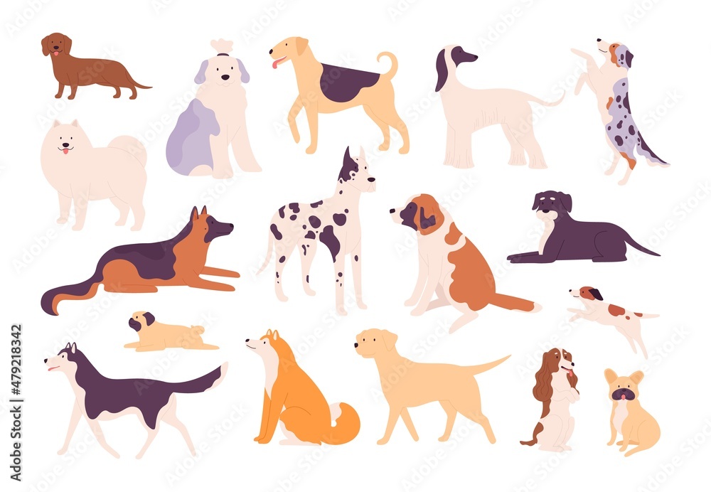 Flat dogs and puppies big and small breed types. Shiba inu, german shepherd, beagle, pug, dachshund and husky. Pet animal dog vector set