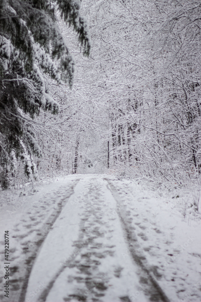 Obraz premium Schneebedeckter Weg durch einen Winterwald