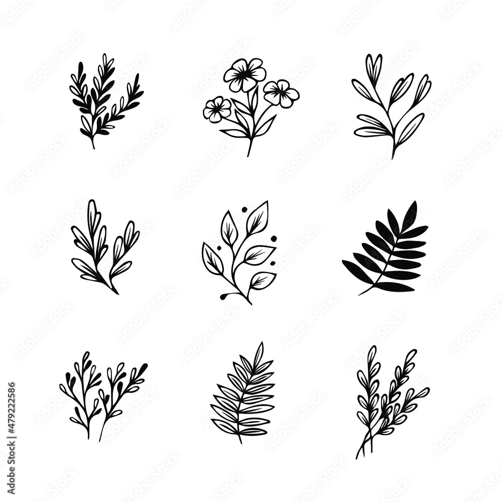 One hand drawn floral element. black vector plant element for design. Doodle isolated on white