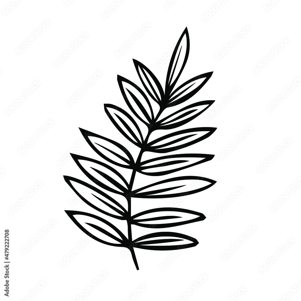 One hand drawn floral element. black vector plant element for design. Doodle isolated on white