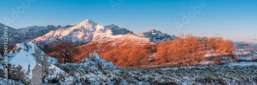Panoramic view of the early morning sun on the snow covered peak of Monte San Parteo and a groiup of trees with winter foliage from the Col de Battaglia in the Balagne region of Corsica