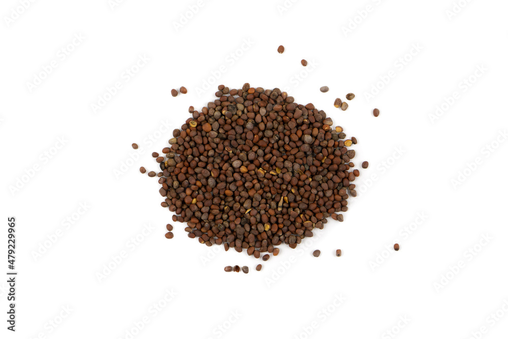 Microgreen broccoli seeds. Vegan micro sprouts of greens. Growing healthy food concept. Top view Microgreen broccoli seeds. Vegan micro sprouts of greens. Growing healthy food concept. Top view