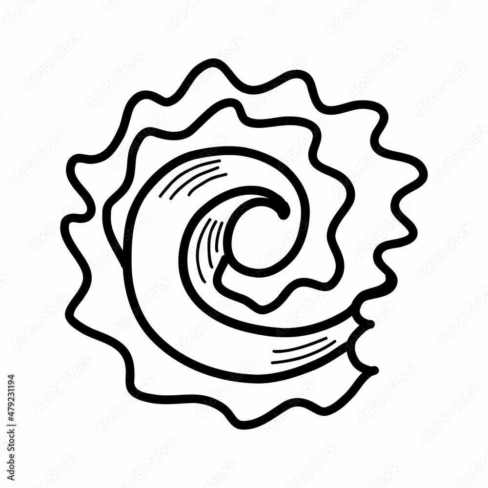 seashell sketch. vector illustration in doodle style seashell sketch. vector illustration in doodle style