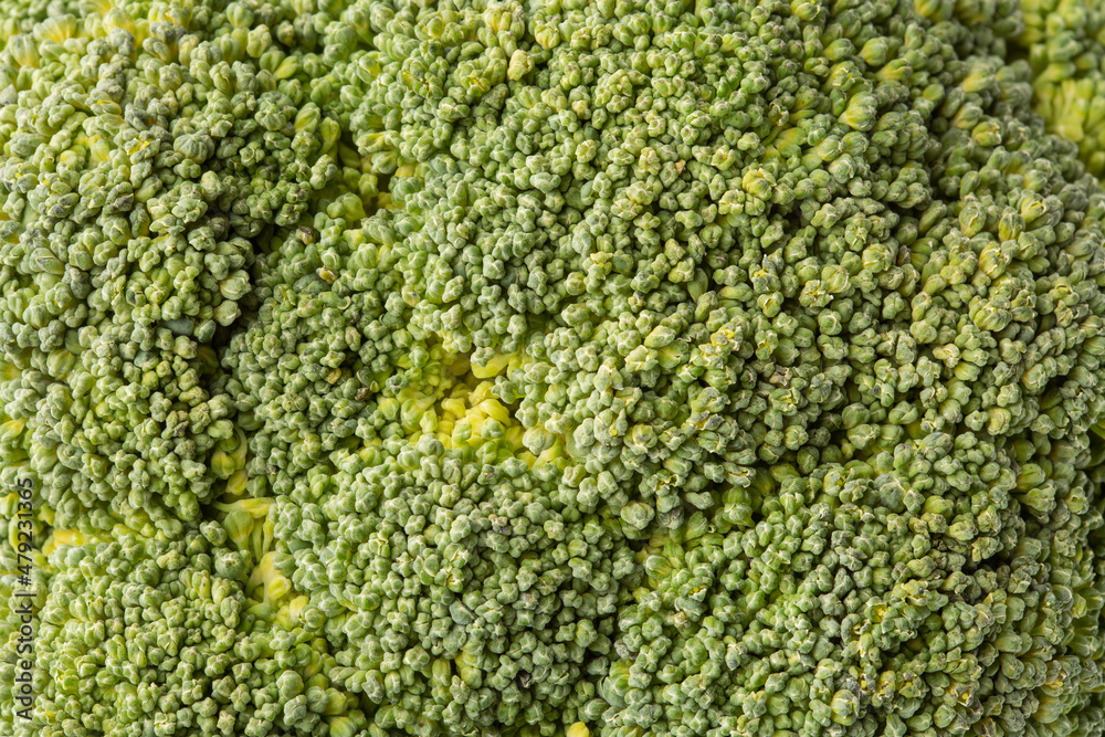 Broccoli extreme closeup macro shot 