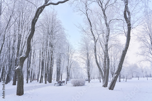 Beautiful winter landscape with snow-covered trees © korsarid