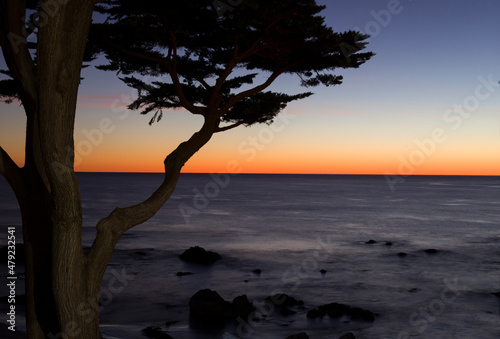A tree and the sunset at the Pacific Ocean