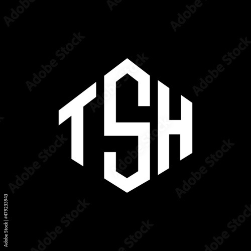 TSH letter logo design with polygon shape. TSH polygon and cube shape logo design. TSH hexagon vector logo template white and black colors. TSH monogram, business and real estate logo. photo
