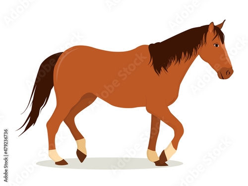 vector illustration of a brown horse with a dark mane isolated on a white background