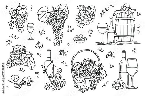 Draw outline Grape set for wine label. Different grapes bunches , bottles of wine, glass, barrel, vine, basket