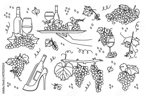 Draw the outline of a set of grapes for a wine label. For the menu, restaurant. Simple style