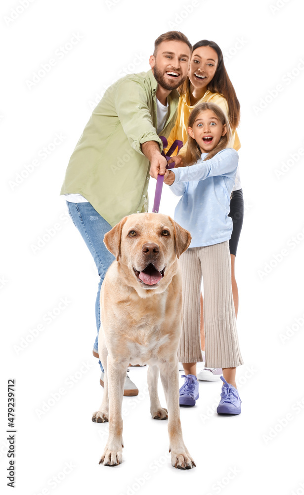 Happy parents with little daughter and cute Labrador dog on white background
