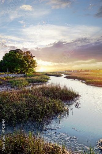 Photo Coastal homes in the distance along the marsh waterways in the Low Country near