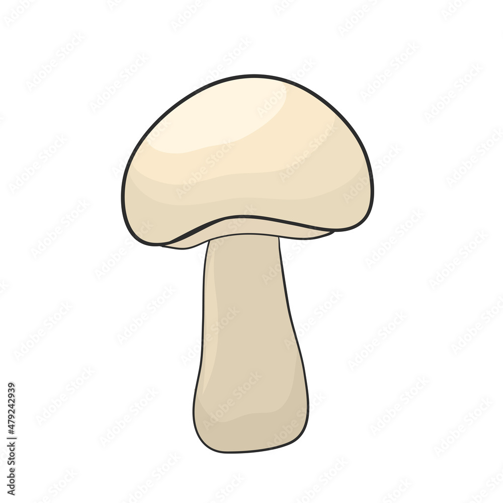 champignon mushroom hand drawn for design champignon mushroom hand drawn for design
