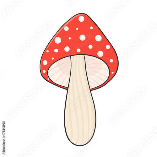 amanita mushroom hand drawn for design