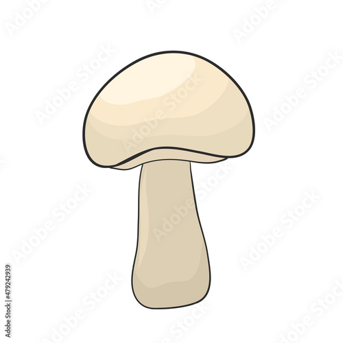 champignon mushroom hand drawn for design