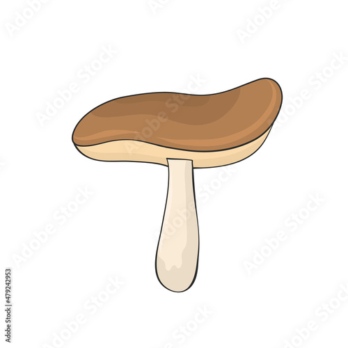 mushroom hand drawn for design