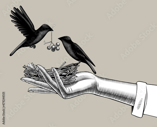 Engraved vintage drawing of female hand holding a nest made of twigs and two birds