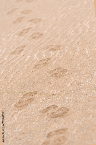 Footsteps of a person with sneakers on the sand
